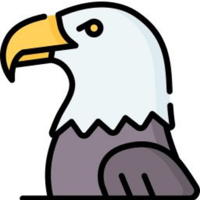 Project Eagle logo